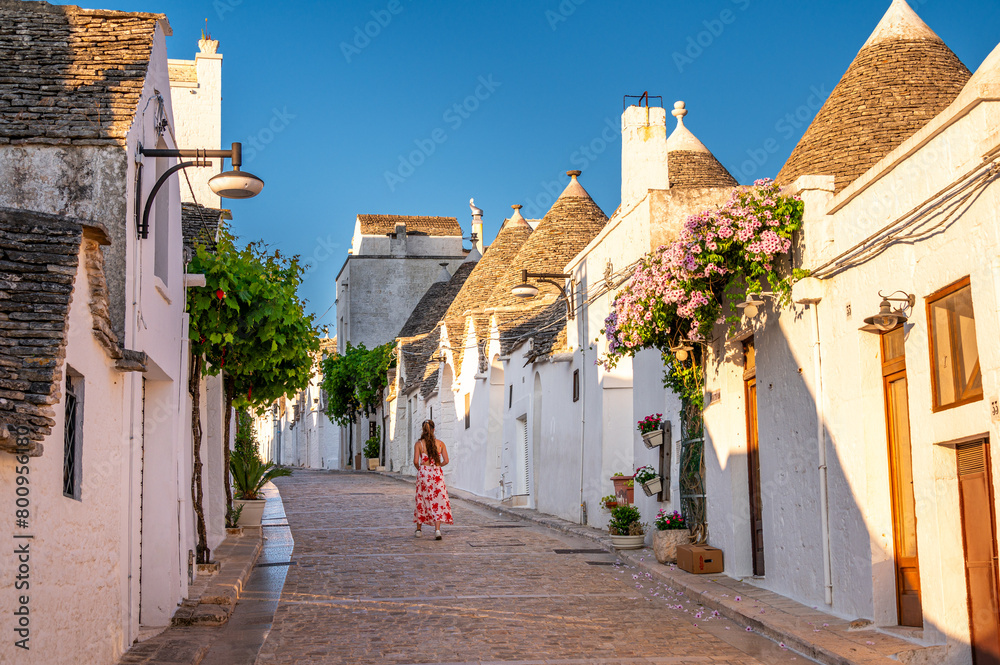 Fototapeta premium view of Alberobello, Puglia, Italy