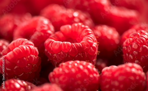 Raspberry fresh berries closeup, ripe fresh organic Raspberries red background, macro shot. Harvest concept