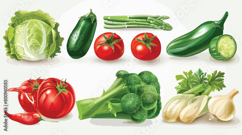 Various fresh vegetables closeup Vector style vector