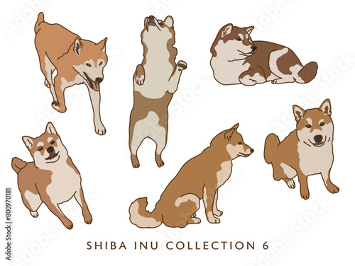 Shiba Inu Dog Color Illustrations in Various Poses - Collection 6