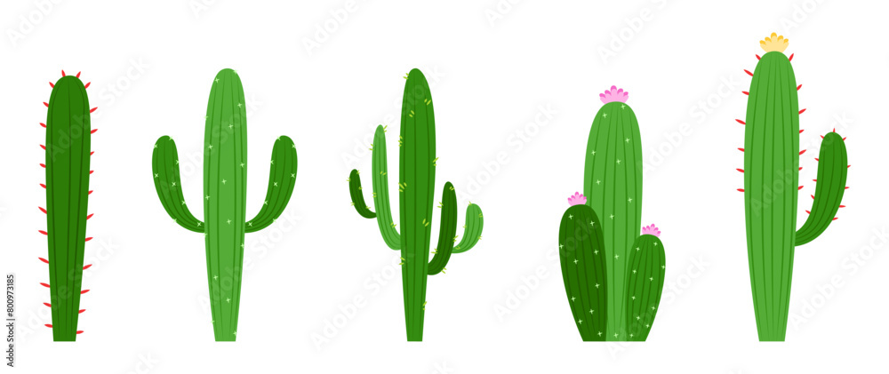 set of cactus saguaro with diffrent shape tropical plants flat illustration set of cactus saguaro with diffrent shape tropical plants flat illustration
