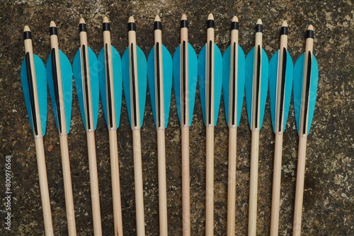 Fotografie natural arrows