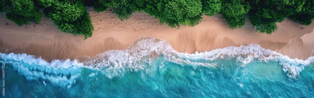 An aerial view of a long sandy beach with lush green trees lining the shore