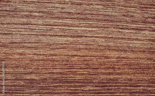 Wallpaper Mural wood texture. background old panels Torontodigital.ca