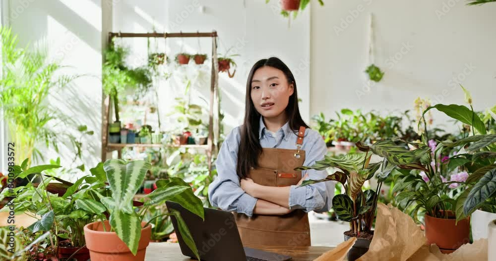 Successful Asian female florist wearing apron working laptop in own floral studio, check customers order in cozy modern interior full green plants. Small business, home decor concept Successful Asian female florist wearing apron working laptop in own floral studio, check customers order in cozy modern interior full green plants. Small business, home decor concept