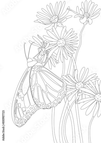 Hand drawn butterfly and flowers line art coloring page