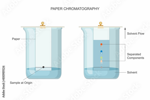 Pioneering Paper Chromatography. Separating Solutions with Precision.