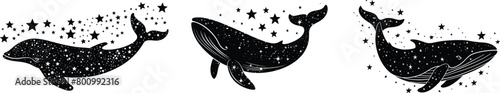 Set of a whale, vector illustration.