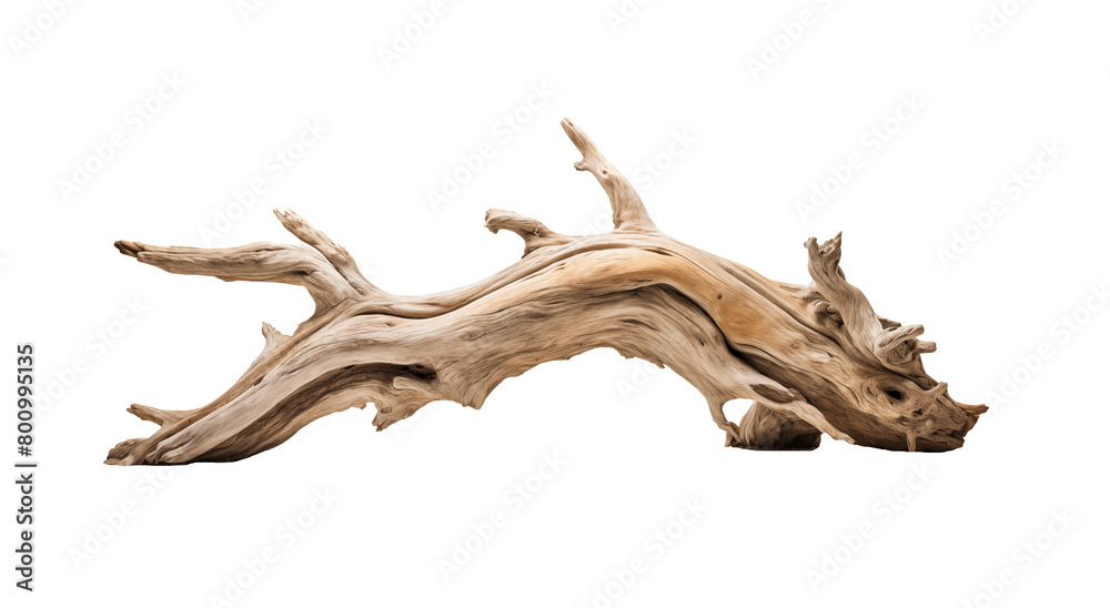 Fototapeta premium A dynamic driftwood piece with intricate twists and a smooth texture, isolated on a transparent background. Generative AI