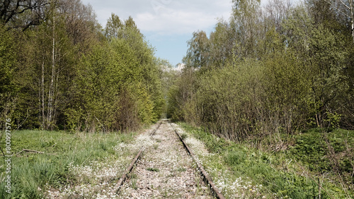 white flowers blooming on a train tracks © fafikowiec