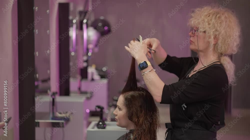 The hairdresser pulls out the hair with a comb and cuts it with scissors. Beauty procedures, haircut by a professional in a beauty salon, women's lifestyle. High quality 4k footage The hairdresser pulls out the hair with a comb and cuts it with scissors. Beauty procedures, haircut by a professional in a beauty salon, women's lifestyle. High quality 4k footage