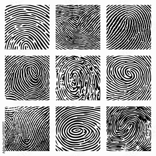 Fingerprint Texture Vector Collection photo