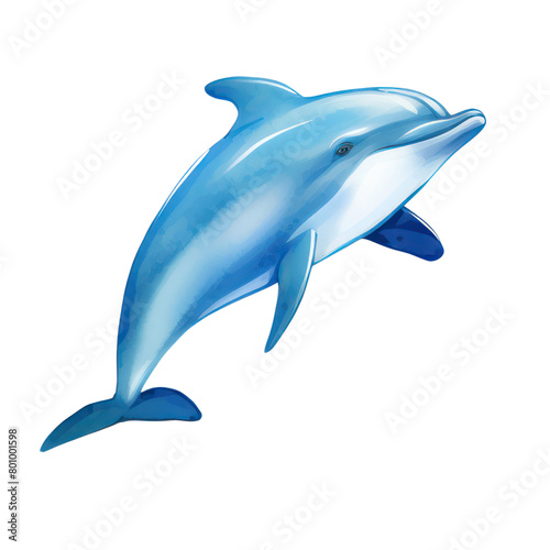 Cute dolphin watercolor hand drawn transparent background