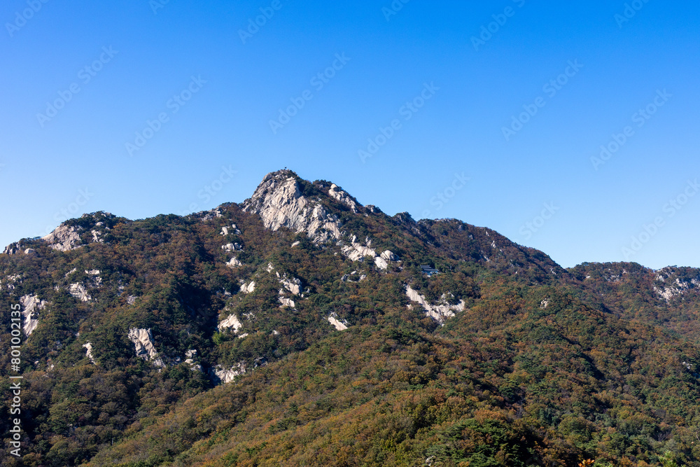 Naklejka premium Seoul Mountain