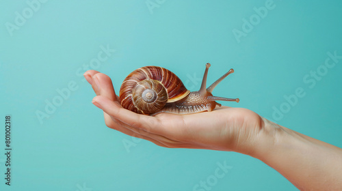 Hand with snail on color background photo