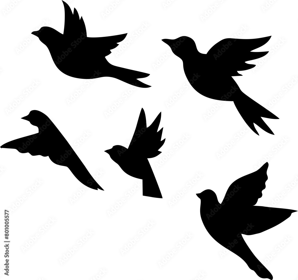Bird Silhouette Bird Silhouette