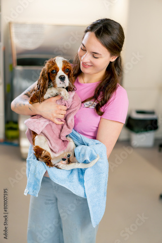 in a grooming salon a young smiling girl in a pink jacket stands with a king spaniel in her arms