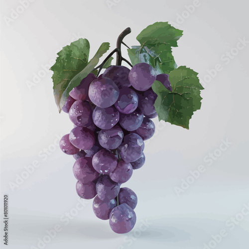 Bunch of ripe grapes with green leaves on a white background.