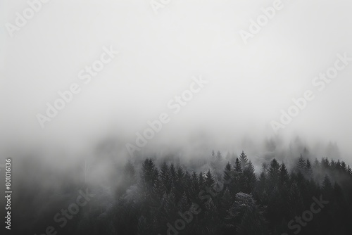 A horizon where the edges of a forest blend into the fog.