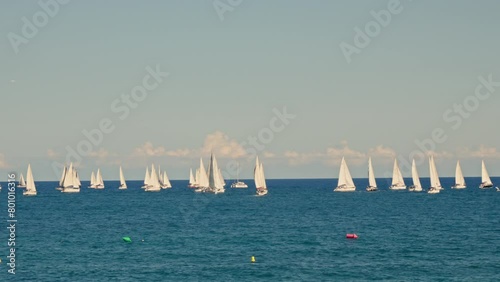Group of sailboats sailing on large body of water photo