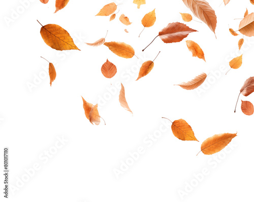 A dynamic arrangement of autumn leaves in mid-fall, with a palette of warm tones against a transparent background. Generative AI