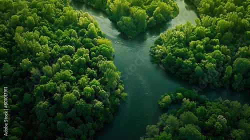 An aerial view of a lush green forest with a river running through it. The water is a deep blue color and the trees are a vibrant green. The forest is dense andYu Cang toshita. photo