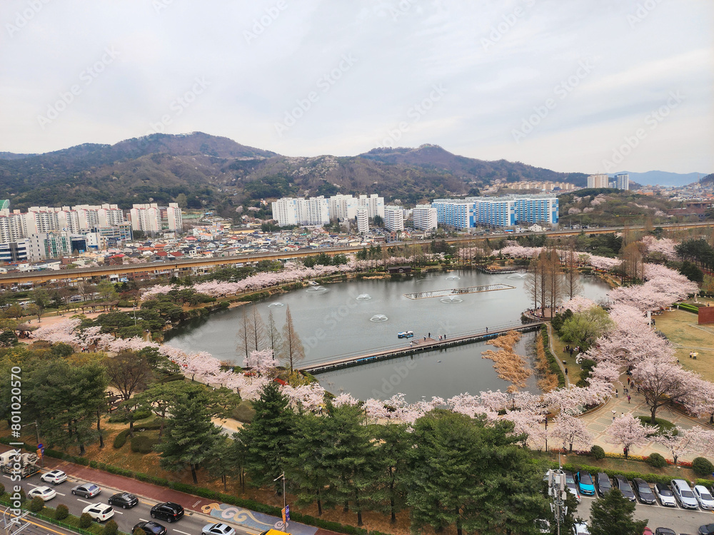 김해 연지공원 봄