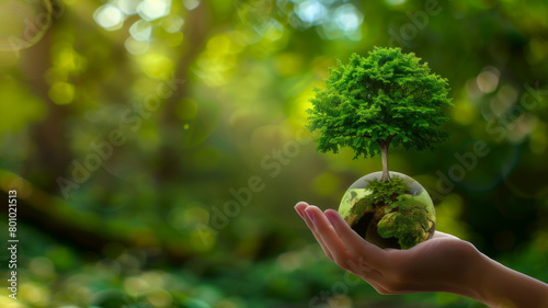 Hand human holding green earth tree ESG