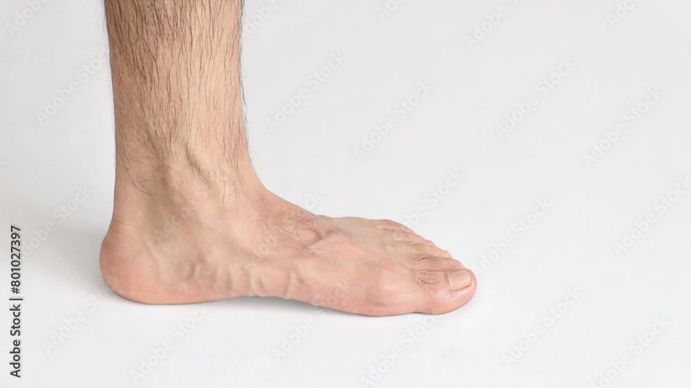 Inner view of adult man's ankle, against a white background with space for text, left foot, full foot Inner view of adult man's ankle, against a white background with space for text, left foot, full foot