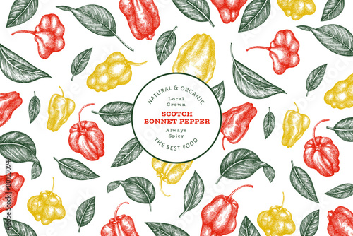 Hand drawn sketch style scotch bonnet pepper banner. Organic fresh vegetable vector illustration. Retro cayenne pepper design template photo