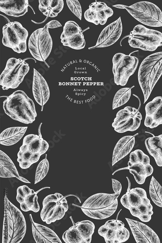 Hand drawn sketch style scotch bonnet pepper banner. Organic fresh vegetable vector illustration on chalk board. Retro cayenne pepper design template