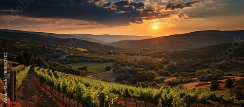 Sunset over vineyards in Chianti, Tuscany, Italy