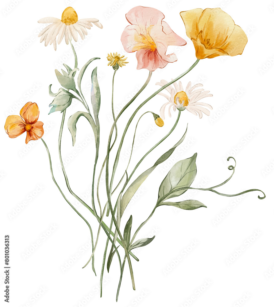 Watercolor bouquet of wildflowers