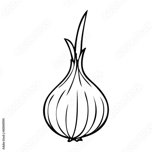 onion outline illustration