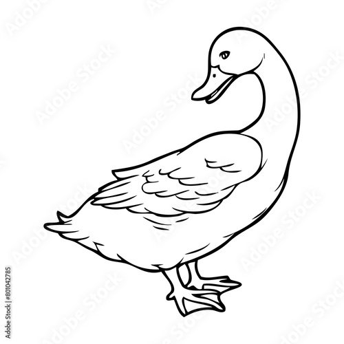 duck outline illustration