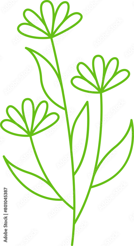 Branches with Leaves and Flowers Illustration Branches with Leaves and Flowers Illustration