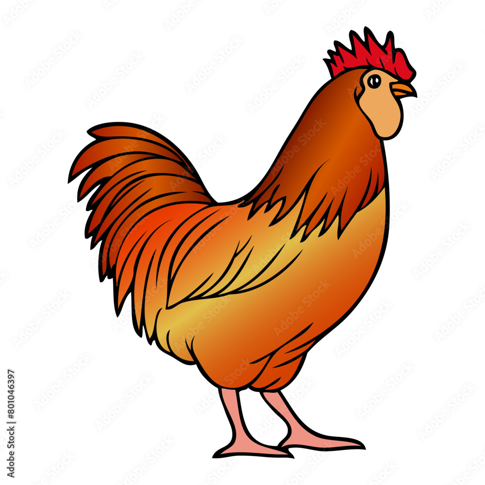 rooster vector illustration rooster vector illustration