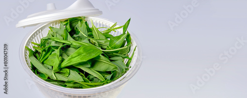 a home spin dryer and wild garlic photo