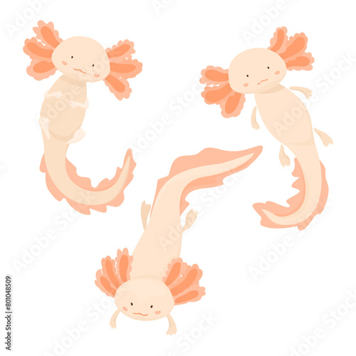 Cartoon-style vector drawing of three pink and beige axolotls in different poses on a white background 