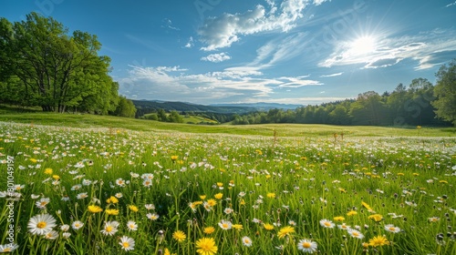 A vibrant field filled with wildflowers stretching under a clear blue sky, surrounded by tall trees