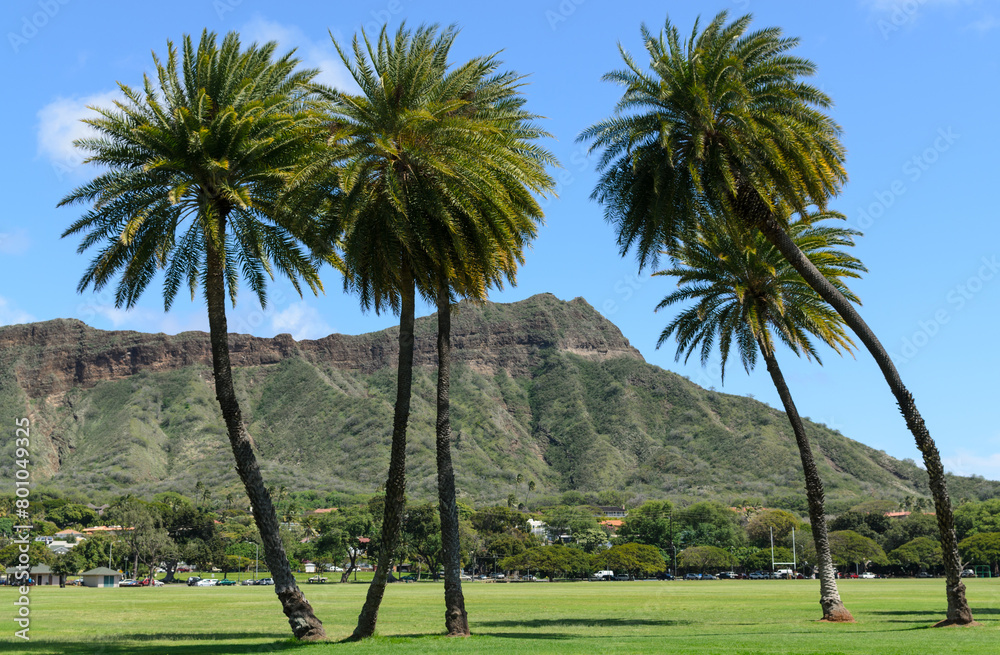 Palm trees frame Diamond Head at Kapiolani Park in Honolulu, Hawaii. 