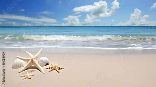 starfish and shells on the beach © MA Studio