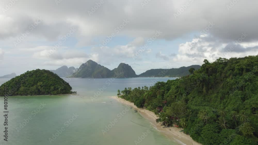 A lush green forest with a beach in the background. The beach is calm and peaceful, with palm trees lining the shore. The forest is dense and full of life, with trees of all sizes and shapes A lush green forest with a beach in the background. The beach is calm and peaceful, with palm trees lining the shore. The forest is dense and full of life, with trees of all sizes and shapes