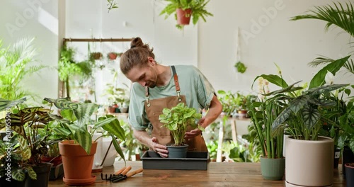 Portrait of professional confident Caucasian male florist in flower shop interior. Urban jungle and plant parent concept. Florist shop. Love of plants. Plants care and garden