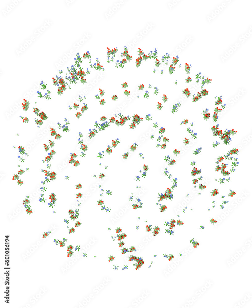 A spiral with transparent background made out of red poppy flowers and blue cornflowers. 3D illustration. A spiral with transparent background made out of red poppy flowers and blue cornflowers. 3D illustration.