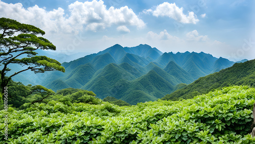 Scenic Landscape of Beautiful Mountains and Reforested Saplings. Background. Copy Space.