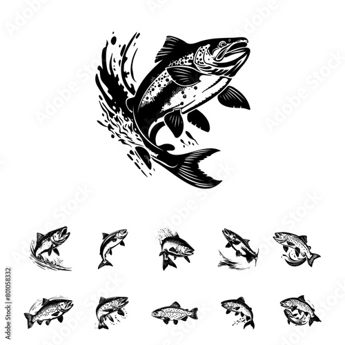 Graceful Leaper A Salmon in Motion