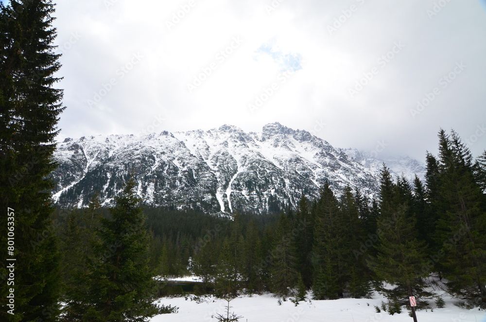 Mountain range with coniferous forest and blue sky with clouds Mountain range with coniferous forest and blue sky with clouds