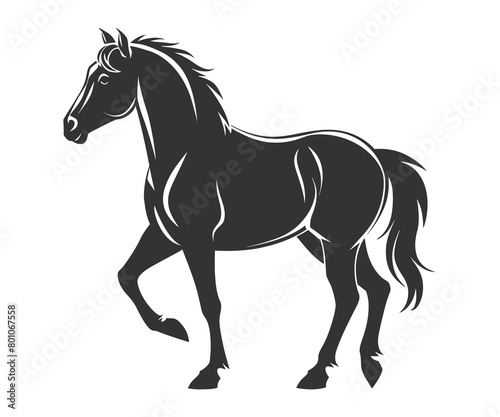 Black silhouette line horse on white background. Vector graphic. Logo animal  icon.
