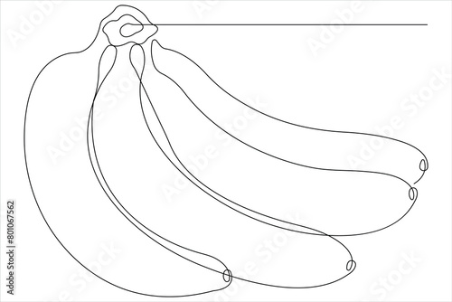 Vector illustration of banana continuous one line art drawing concept